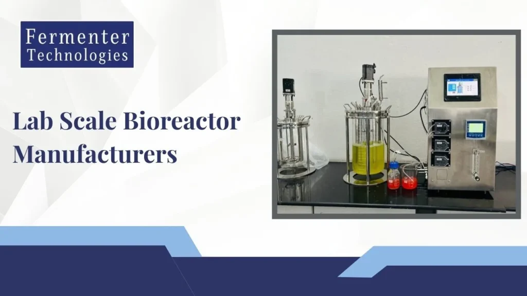 Lab Scale Bioreactor