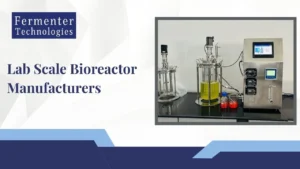 Read more about the article What is Lab Scale Bioreactor ?