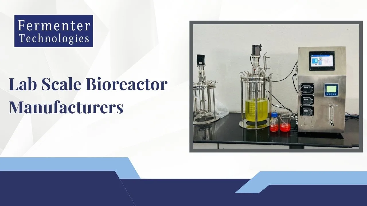 You are currently viewing What is Lab Scale Bioreactor ?